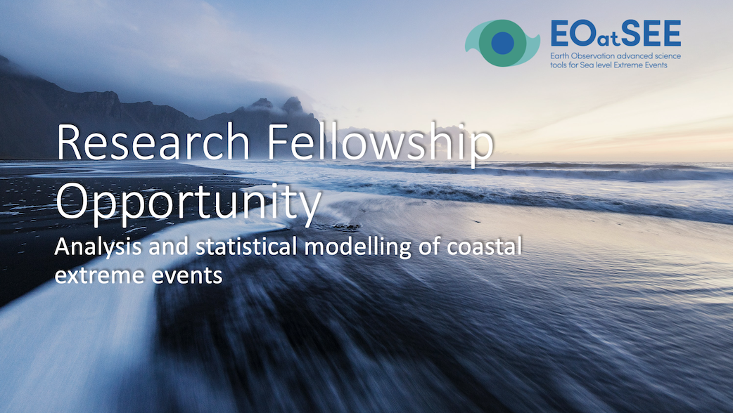 Research Fellowship - EOatSEE _ Jan2023_image_website